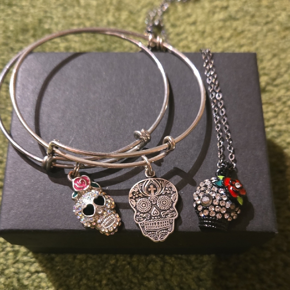 Alex and Ani Silver Skull Charm Bracelet Set